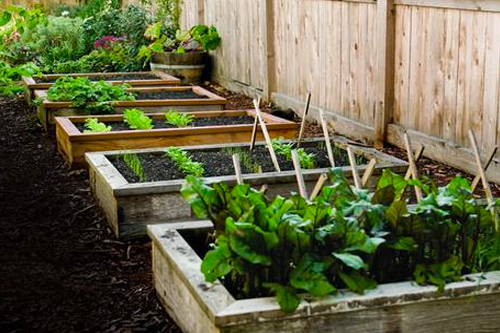 3 Benefits Of A Raised Garden Bed – Hometown Seeds