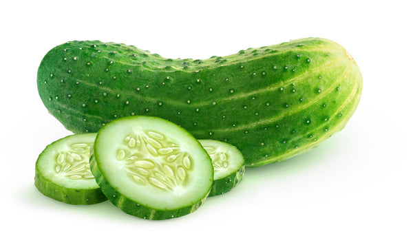 Ashley Cucumber Seeds - Heirloom – Hometown Seeds