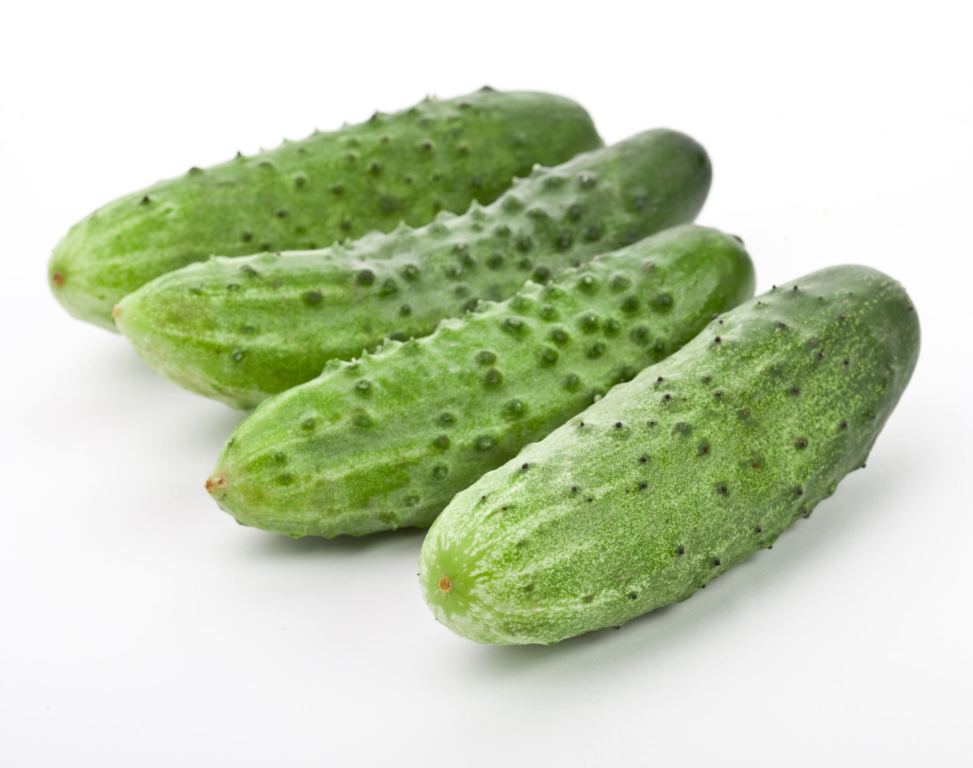 Park Seed Select Slicer Hybrid Cucumber Seeds