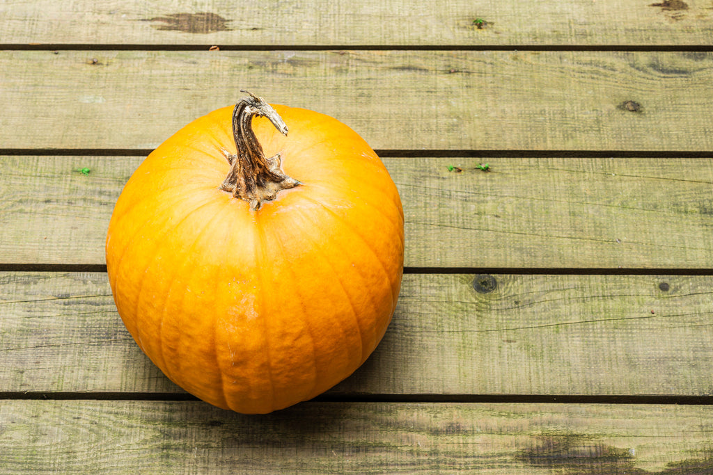 Spookie Pumpkin Seeds - Heirloom – Hometown Seeds