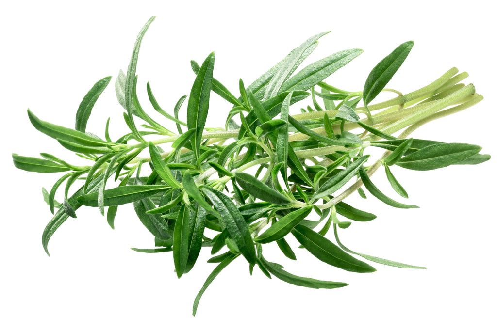 Summer Savory - Heirloom – Hometown Seeds